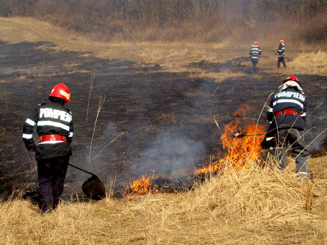Zona Eşelniţa – Valea Cernei, supravegheată de pompieri pentru a împiedica riscul de reaprindere a trunchiurilor de copaci